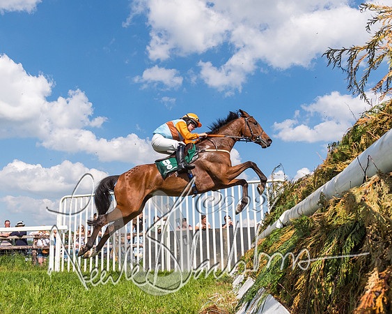 Race 4 - PPORA Novice Riders Final  (192 of 362)