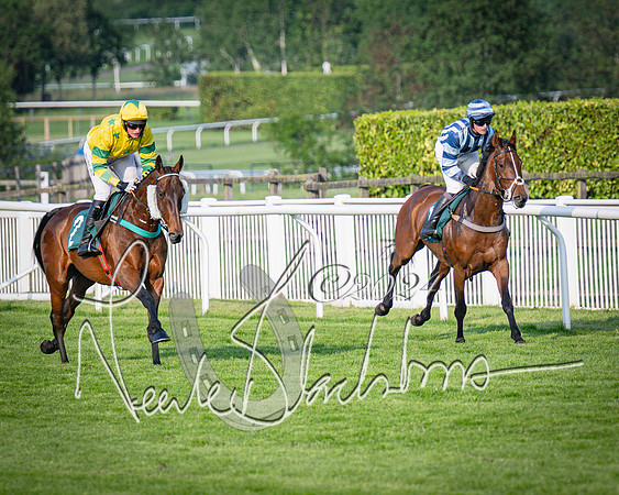 Race 4 - The Jonathan Neesom memorial open Hunter’s steeplechase 3m2f 70y (38 of 167)