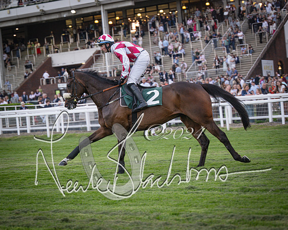 Race - 7 The Royal Gloucester Hussars Open Hunter's steeplechase 2m4f 127y (55 of 210)