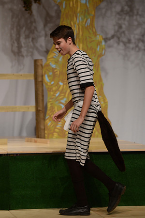 Wind in the Willows Dress 20