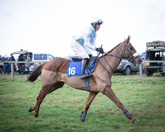 Race 2 - Maiden (15 of 145)
