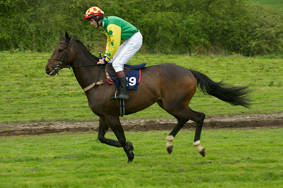Race 7 - 2m4f Maiden 19