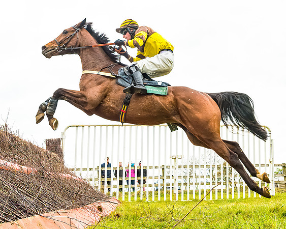 Race 6 - 6 year old and over Maiden 2m4f (31 of 62)