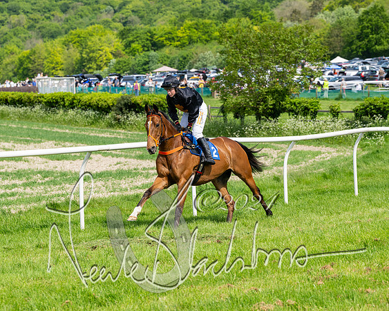 Race 3 - Ladies Open  (50 of 133)