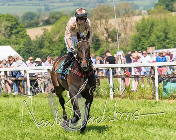 Race 2 - The Maiden  (24 of 442)