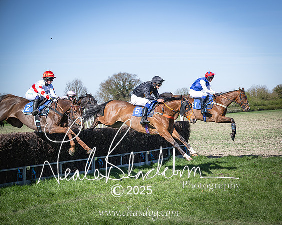 Race 6 - Veteran horse (61 of 109)