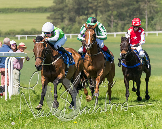Pony Races  (70 of 141)