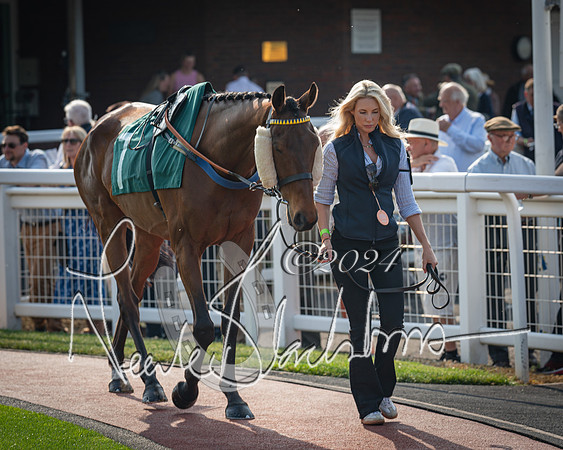 Race 2 - The Venatour sports travel intermediate point to point hunters’ steeplechase 5 year olds and over 3m2f (13 of 163)