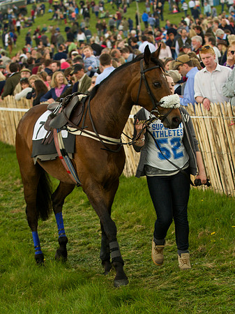 Old Berks at Lockinge Mixed Open Race