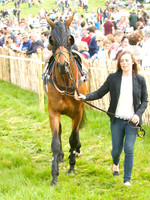 Old Berks at Lockinge Members Race