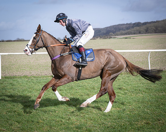 Race 3 - The Maiden Conditions (62 of 214)