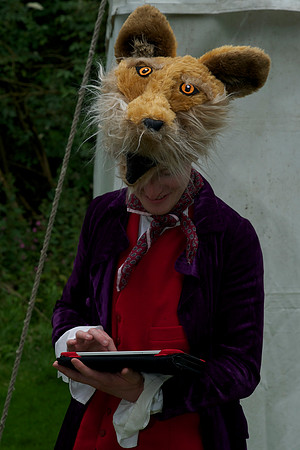 Fantastic Mr Fox 81