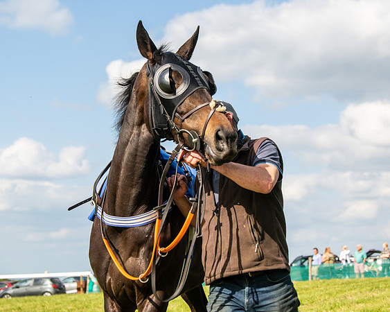 Race 6 - Maiden [2m4f] (5 of 135)