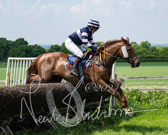 RAce 1 - Conditionsn [Level 2] (174 of 219)
