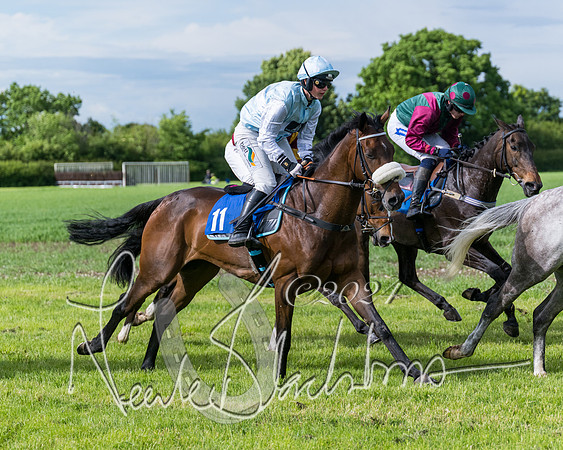 Race 5 - Restricted Race (212 of 434)