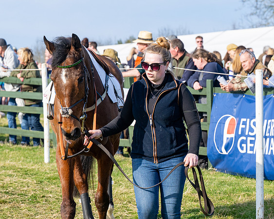 Race 5 - PPORA Five years and over (28 of 163)