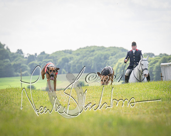 The Hound Race (6 of 68)