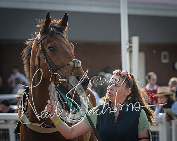 Race 2 - The Venatour sports travel intermediate point to point hunters’ steeplechase 5 year olds and over 3m2f (19 of 163)