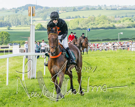 Race 4 - PPORA Novice Riders Final  (108 of 362)