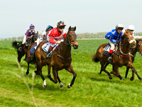 Ponies and Hounds 7