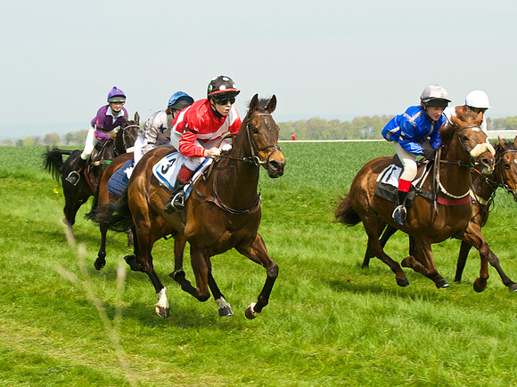Ponies and Hounds 7