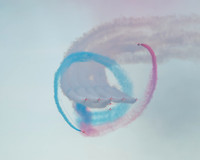 Red Arrows - Devon 2017