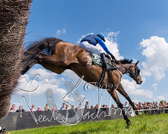 Race 2 - The Maiden  (298 of 442)