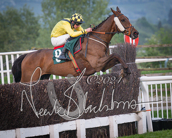 Race - 7 The Royal Gloucester Hussars Open Hunter's steeplechase 2m4f 127y (130 of 210)