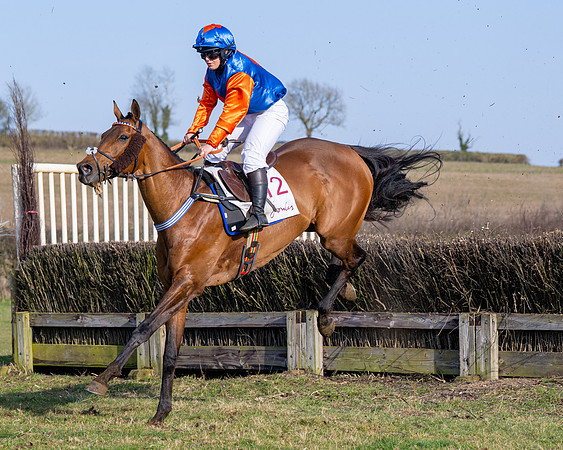 Race 5 - PPORA Five years and over (92 of 163)