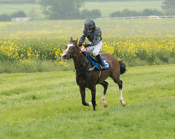 Pony Race 2 (47 of 113)