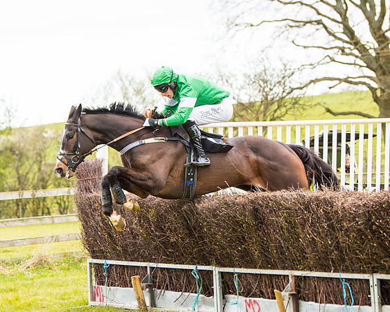 Race 6 - 6 year old and over Maiden 2m4f (45 of 62)