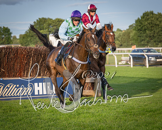 Race 5 - tipsterreviews.co.uk handicap (54 of 107)