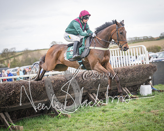 Race 6 - The Restricted Race (45 of 101)