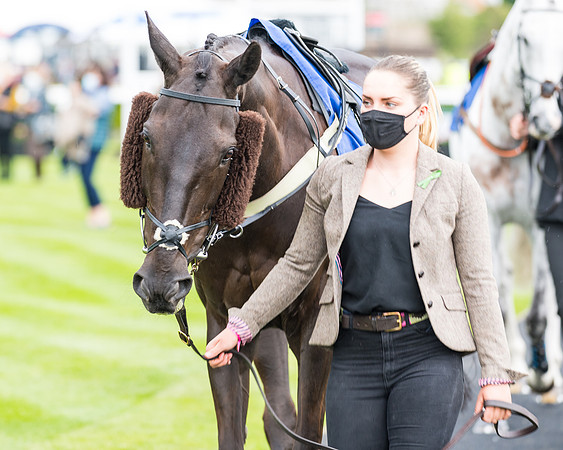 Race 1 - PPSA Open Hunter Steeple Chase (2 of 68)