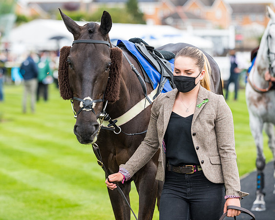 Race 1 - PPSA Open Hunter Steeple Chase (3 of 68)