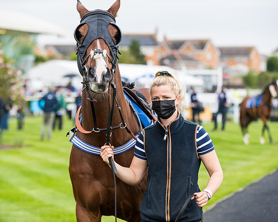 Race 1 - PPSA Open Hunter Steeple Chase (5 of 68)