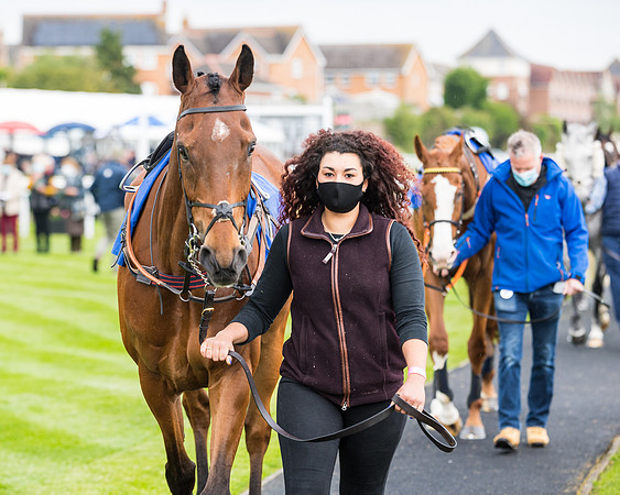 Race 1 - PPSA Open Hunter Steeple Chase (9 of 68)