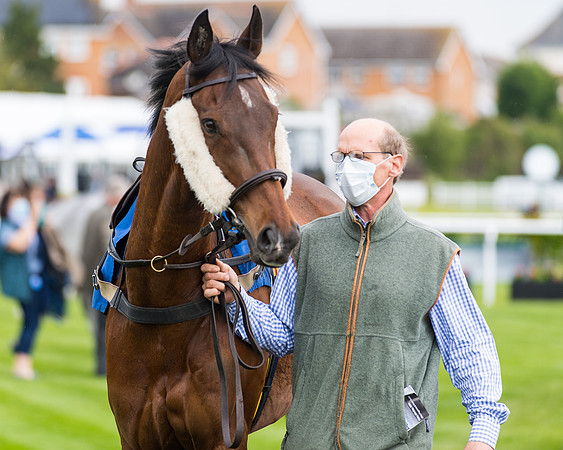 Race 1 - PPSA Open Hunter Steeple Chase (7 of 68)