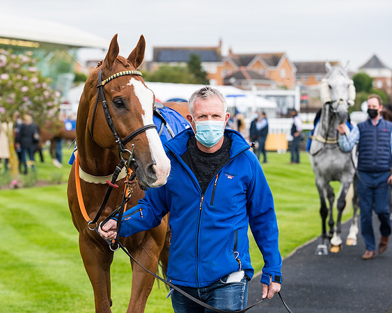 Race 1 - PPSA Open Hunter Steeple Chase (10 of 68)