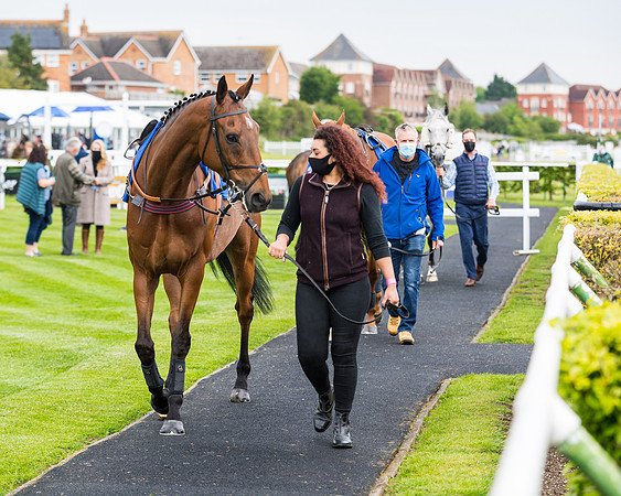 Race 1 - PPSA Open Hunter Steeple Chase (8 of 68)