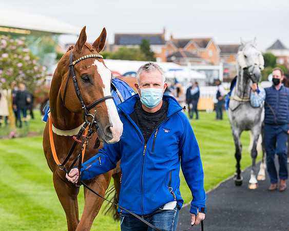 Race 1 - PPSA Open Hunter Steeple Chase (11 of 68)