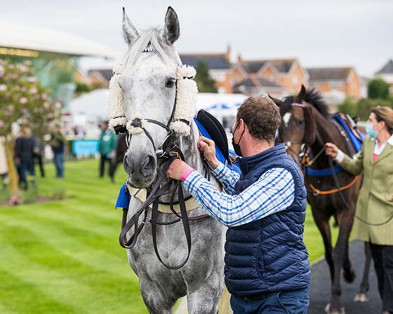 Race 1 - PPSA Open Hunter Steeple Chase (13 of 68)