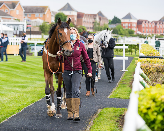Race 1 - PPSA Open Hunter Steeple Chase (14 of 68)