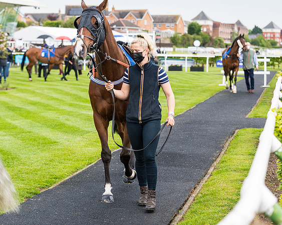 Race 1 - PPSA Open Hunter Steeple Chase (16 of 68)