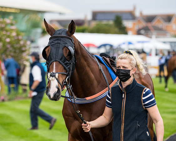 Race 1 - PPSA Open Hunter Steeple Chase (17 of 68)