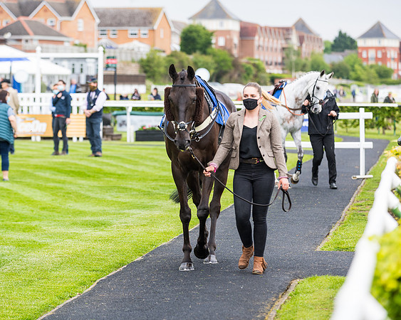 Race 1 - PPSA Open Hunter Steeple Chase (18 of 68)
