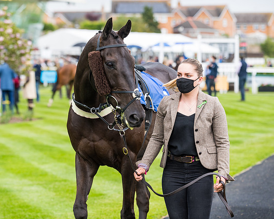 Race 1 - PPSA Open Hunter Steeple Chase (20 of 68)