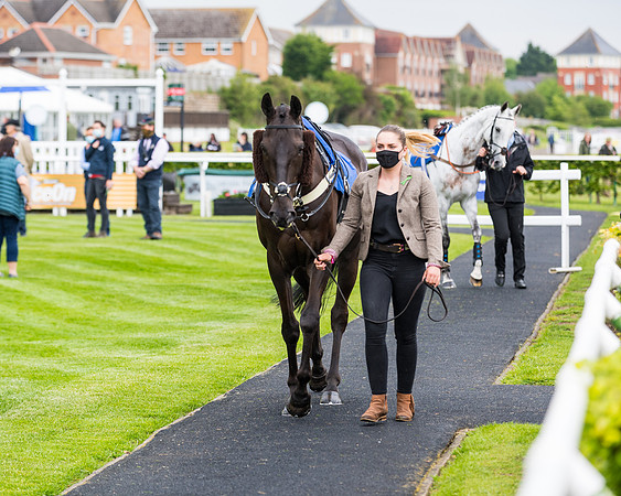 Race 1 - PPSA Open Hunter Steeple Chase (19 of 68)