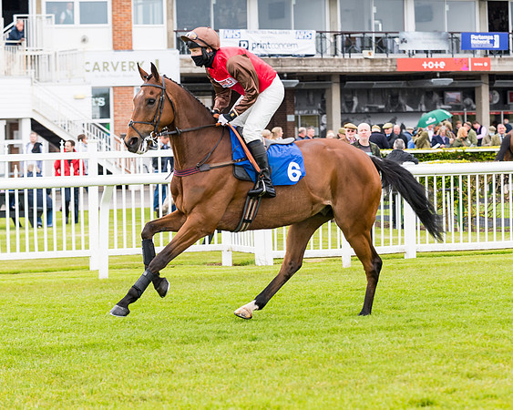 Race 1 - PPSA Open Hunter Steeple Chase (21 of 68)