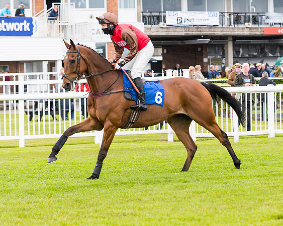 Race 1 - PPSA Open Hunter Steeple Chase (22 of 68)